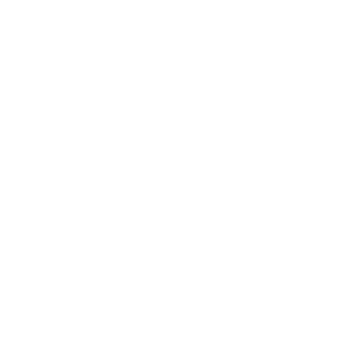Focus icon