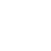 Money icon